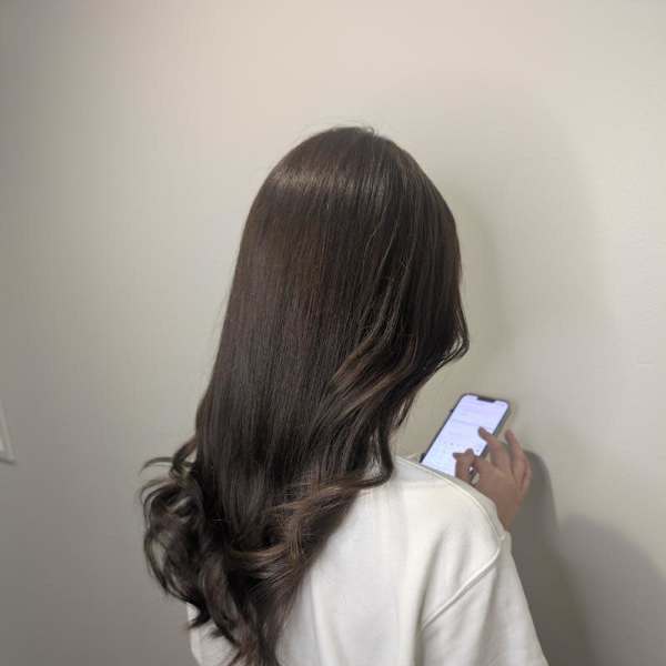 ブラウンロングヘアー