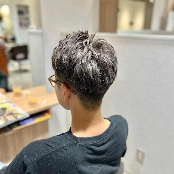 シルバーメッシュ