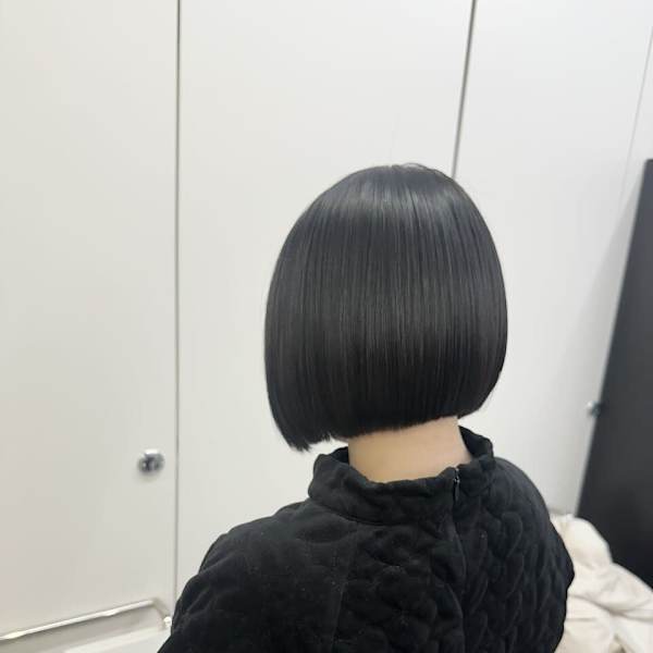 りんご幹細胞×Bob