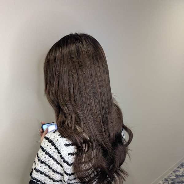 大人気ブラウンロングヘアー