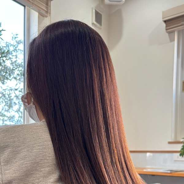 ファイバートリートメント