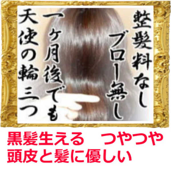 キングスクロス(キングスクロス)