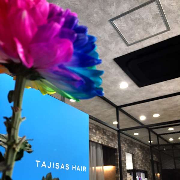 TAJISAS HAIR【タジサス ヘアー】のスタッフ紹介。土山 美玲