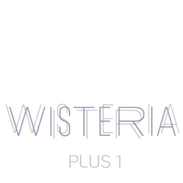 WISTERIA PLUS1 銀座一丁目【ウィステリア プラスワン】【ウィステリアプラスワン】のスタッフ紹介。川上 友也