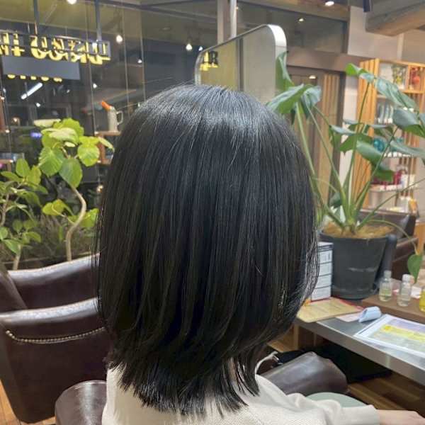 レイヤーボブ