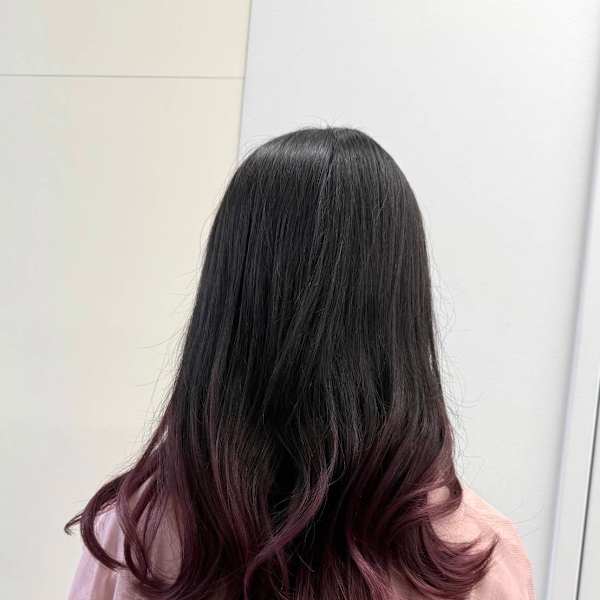 ピンクラベンダー