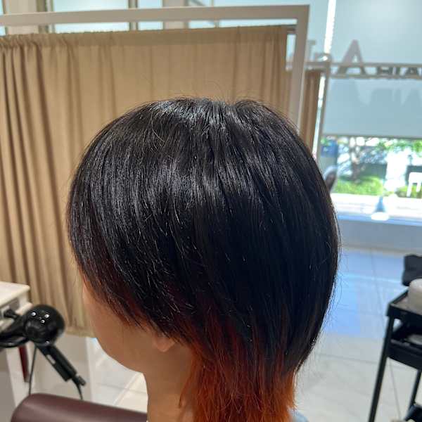 ウルフ×デザインカラー