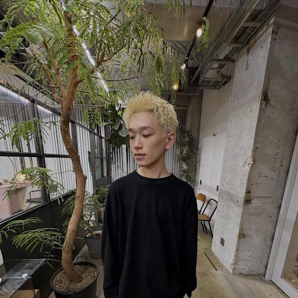 ハイトーンスパイキー