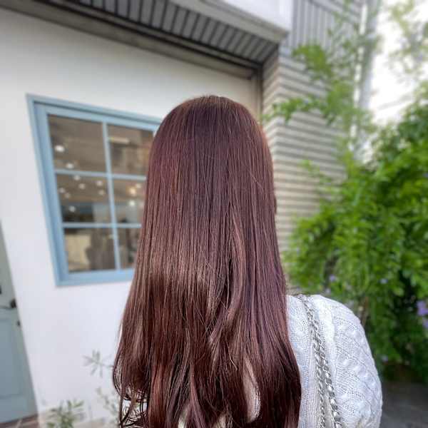 ピンクラベンダー