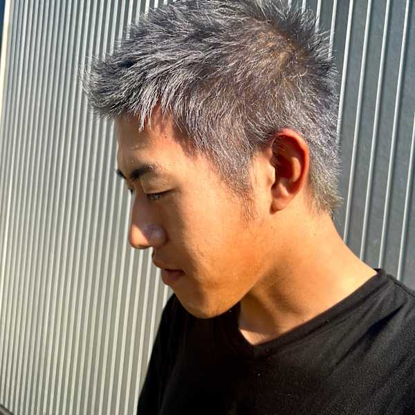 シルバーアッシュ