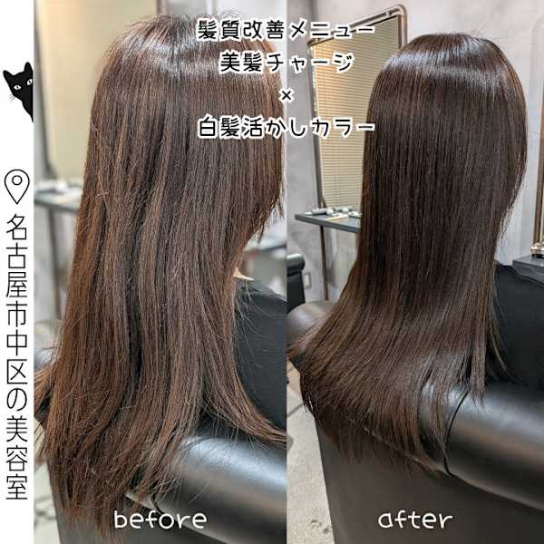 【白髪活かしカラー施術例】ロングヘアの髪質改善艶髪ケア！|HANS 名古屋 伏見