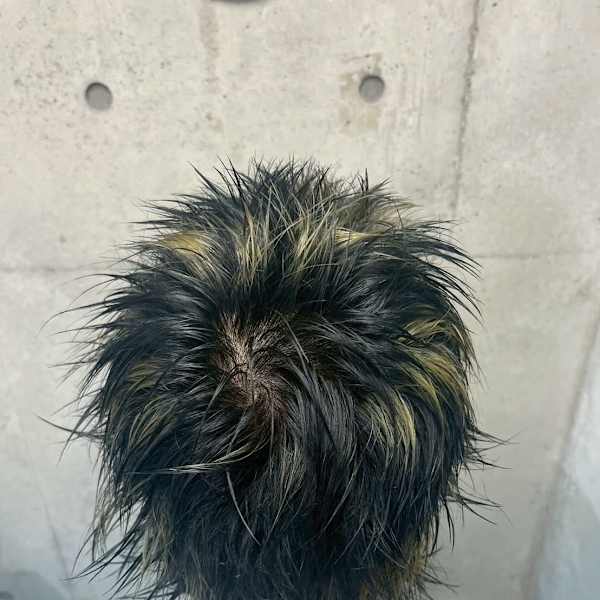 Re.(by INK.) 渋谷×スタイル|Re.(by INK.) 渋谷 ハイトーン/ウルフカット/デザインカラー/髪質改善