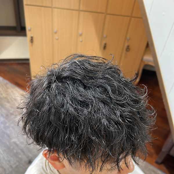 mahola×スタイル|mahola