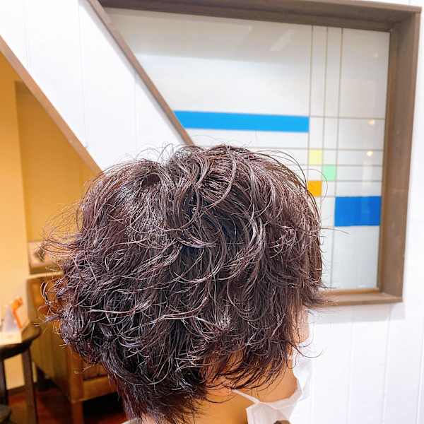 mahola×スタイル|mahola