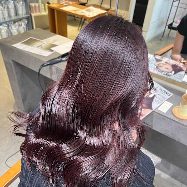 艶感ワインレッド|fuhcoh 下関店