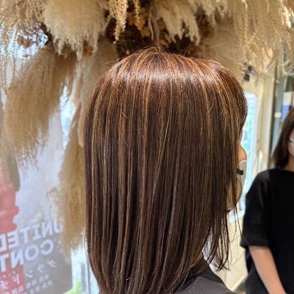 ブラウン系ハイライト