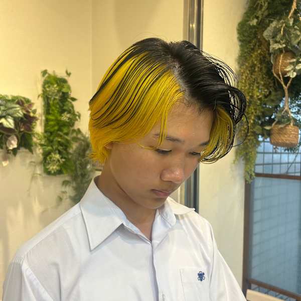 デザインカラー／ブラックイエロー