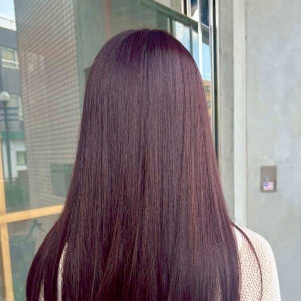 レイヤー/ワンホン|in.