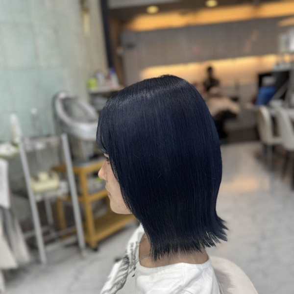 ダブルカラー／ネイビー