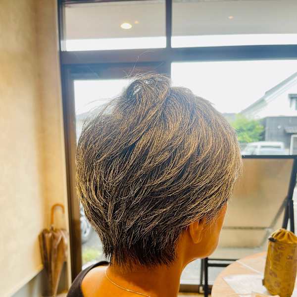 グレイヘアレイヤーショート