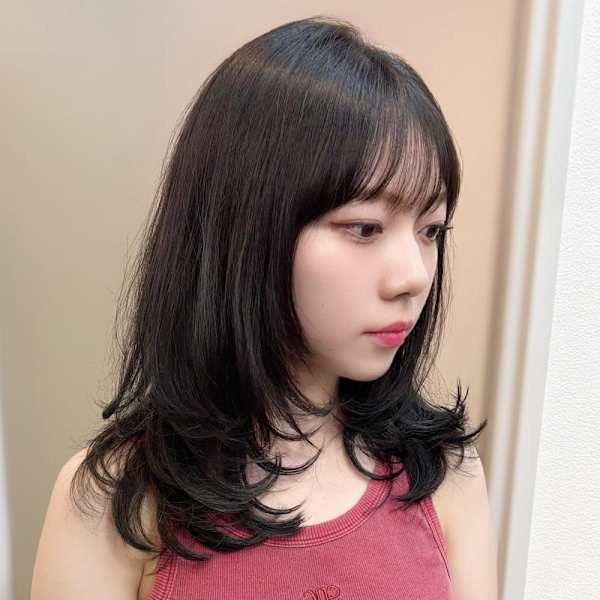 ウルフレイヤー&シースルーバング/ミディアム/黒髪