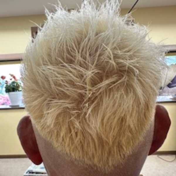 スパイキーショート