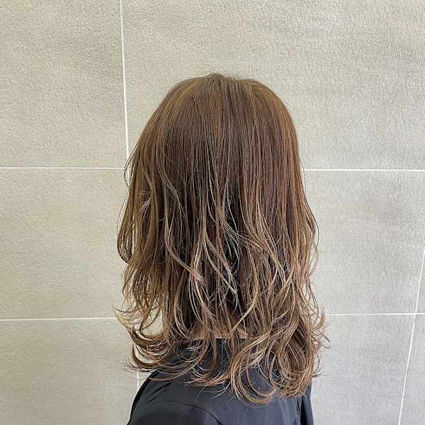 ハイライト×ウルフミディ【イワイユウ】