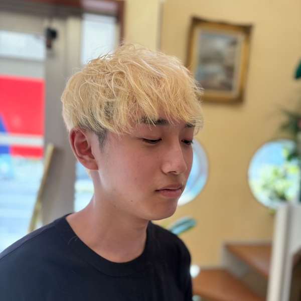 シルバーショート