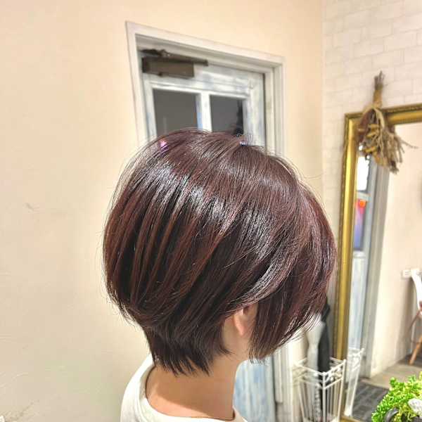 TIGRE kamitori×スタイル|TIGRE kamitori