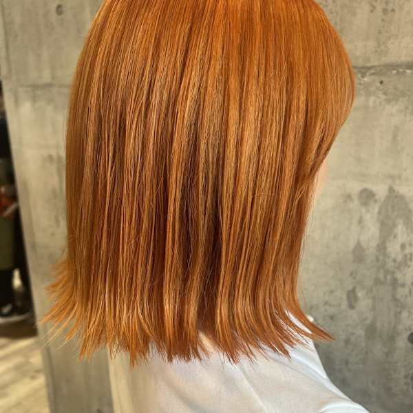 ボブ/ダブルカラー