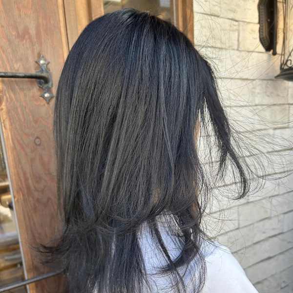 グレージュレイヤー|Appias 大和