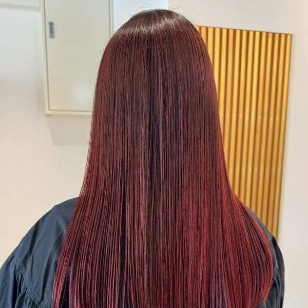 『asuna』ワインレッド/艶カラー