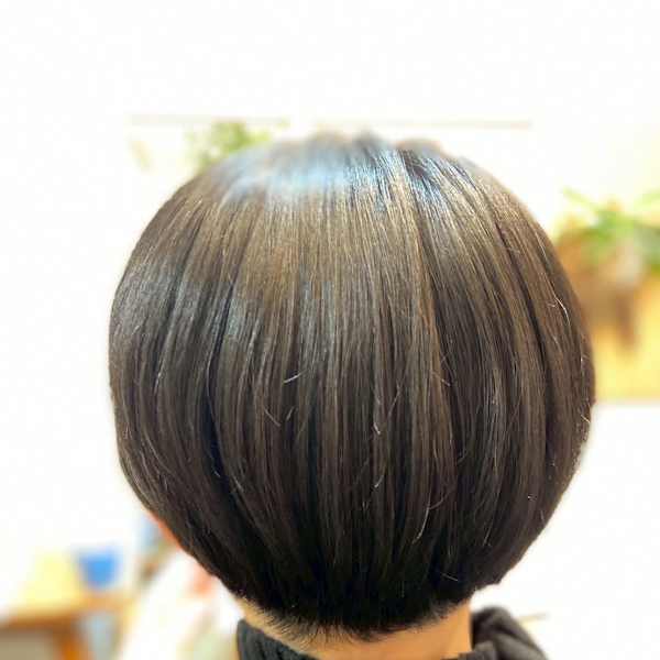 interlude.×ジュニア|Interlude.