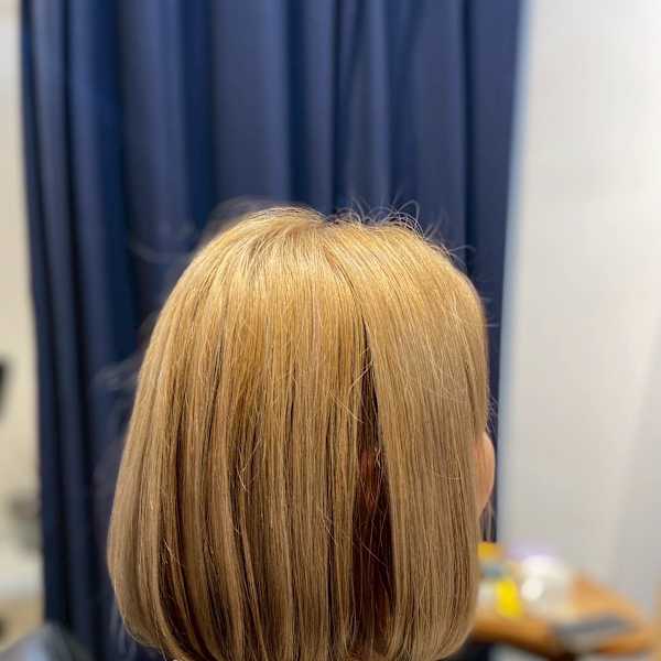 interlude.×ボブ×ハイトーン