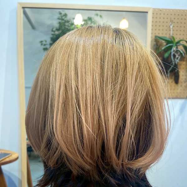 interlude.×ハイトーン×ウルフ