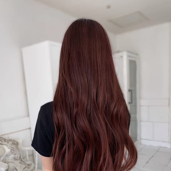 【MIKU】チェリーブラウン|NeF