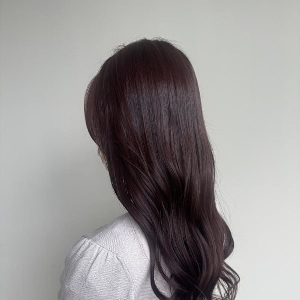 ワインレッド|YUCCA elua 武庫之荘南口