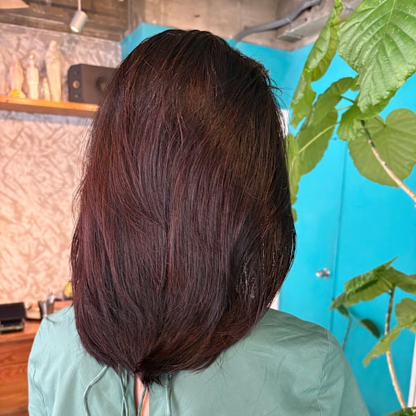 オーガニック100%ヘナで美髪ケア