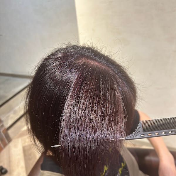 バイオレットカラー