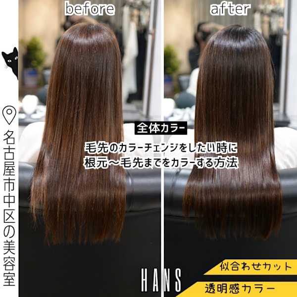全体カラー｜毛先のカラーチェンジをしたいときはフルカラー◎|HANS 名古屋 伏見