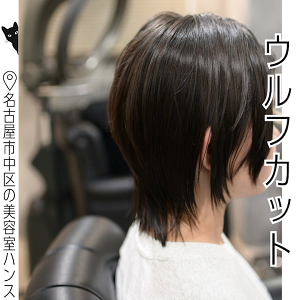 地毛色を活かして|ネオウルフ・ミディアム|HANS 名古屋 伏見