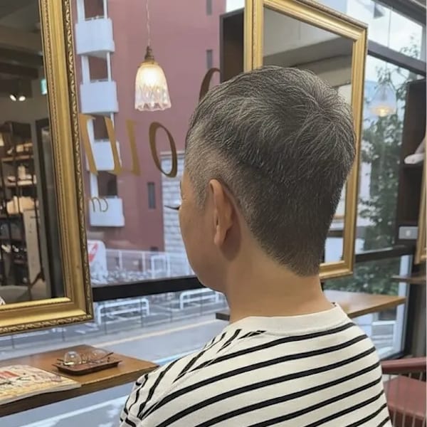 ロマンスグレー ブリティッシュショート