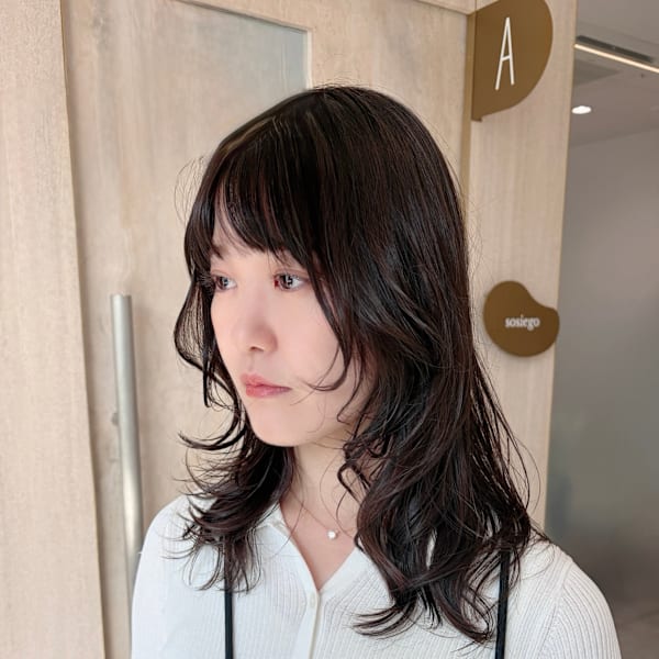 シャギーレイヤー/レイヤー