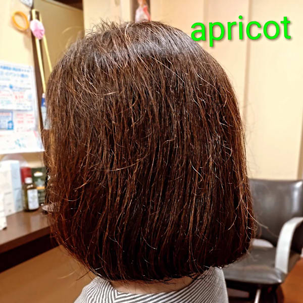 ヘアマニュキュアでツヤ艶、ボブスタイル|美容室アプリコット