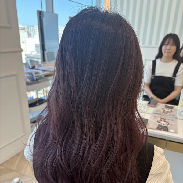 バイオレットグラデーション