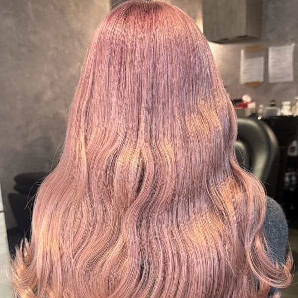 《巴結生》ホワイトピンク/ペールピンク/ピンクカラー