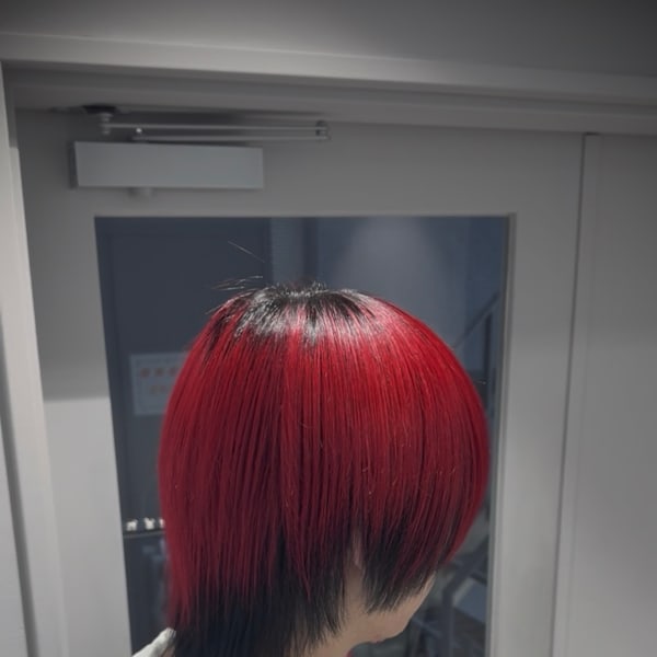 メンズウルフ/マッシュウルフウルフカット/デザインカラー