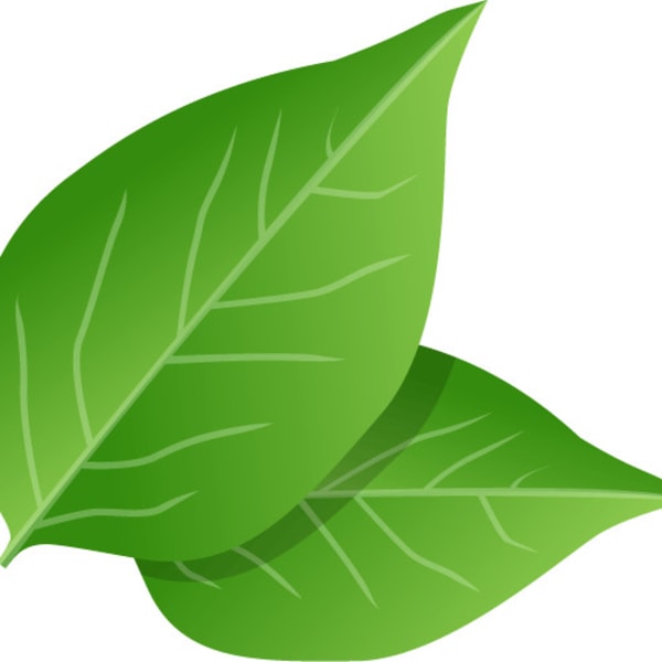 RAD noel【ラッドノエル】のスタッフ紹介。ひな