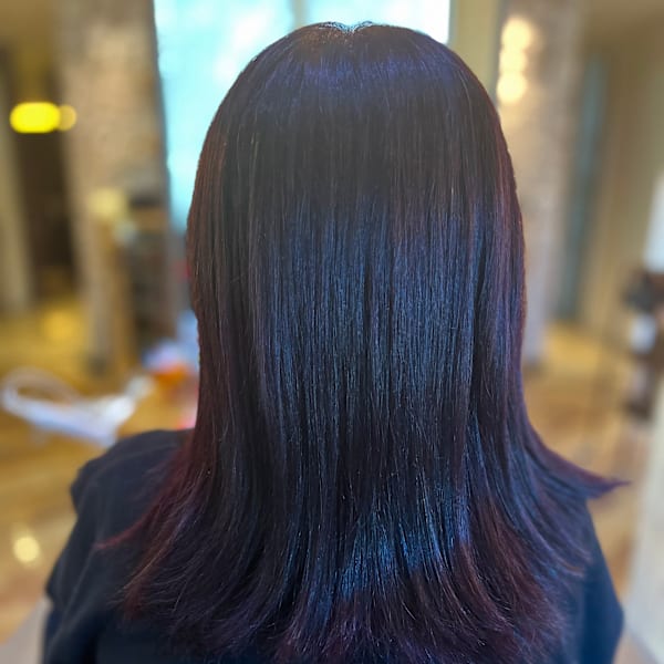 秋色 ボルドーカラー 2|Van family MEGA ドン・キホーテUNY福井店