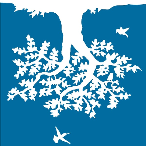 Sora hair design【ソラヘアデザイン】のスタッフ紹介。Sora hairdesign